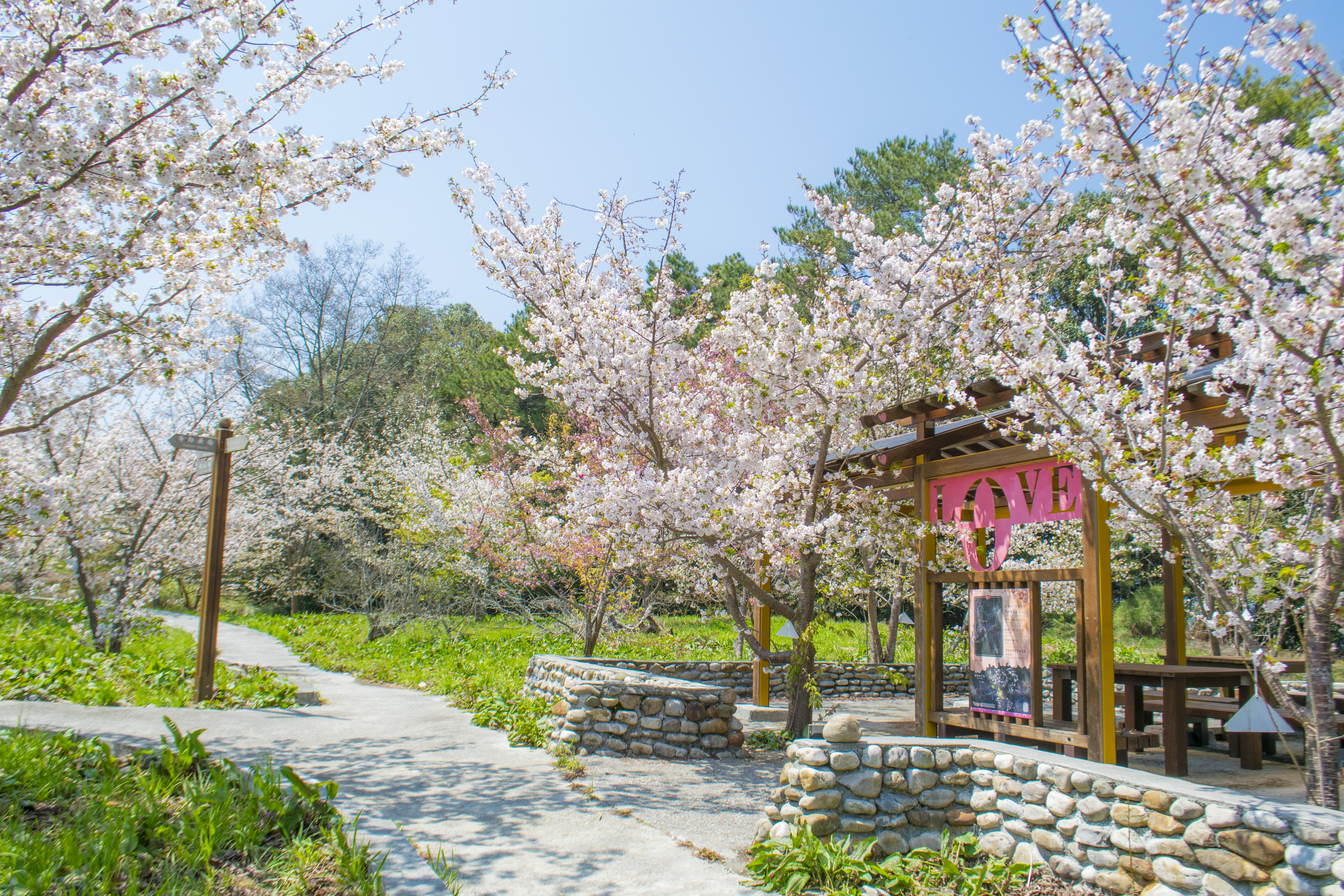 福壽山農場_02月_ (31).jpg